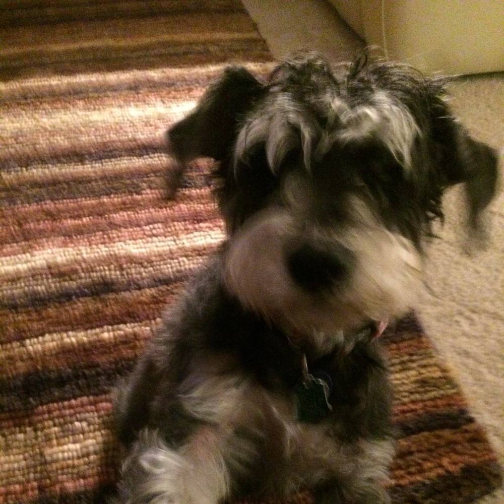 Meet your Posher, Deb