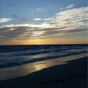 Meet your Posher, Bailey