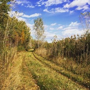 Meet your Posher, Kristi