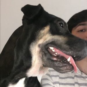 Meet your Posher, Rocco