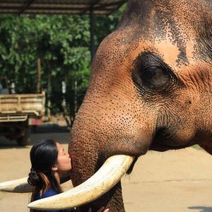 Meet your Posher, Nancy