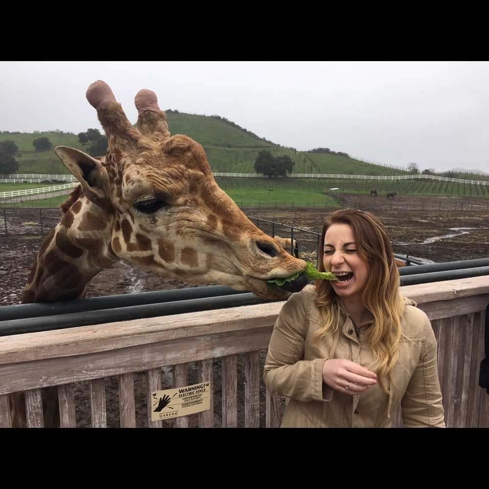 Meet your Posher, Samantha