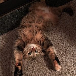 Meet your Posher, Amy