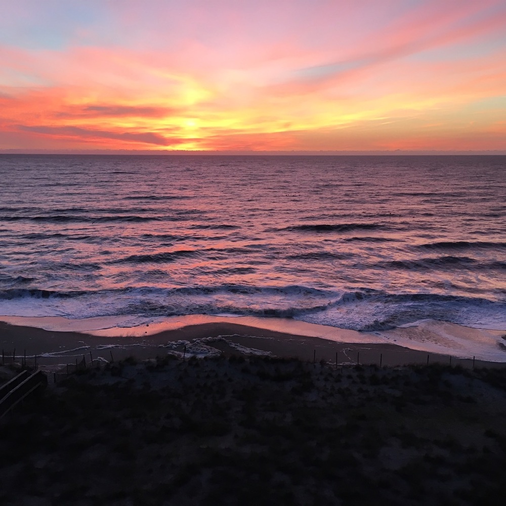 Meet your Posher, Karlyn