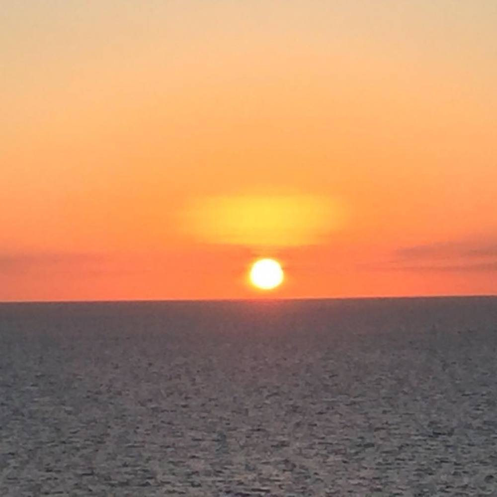 Meet your Posher, Reeve