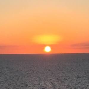 Meet your Posher, Reeve