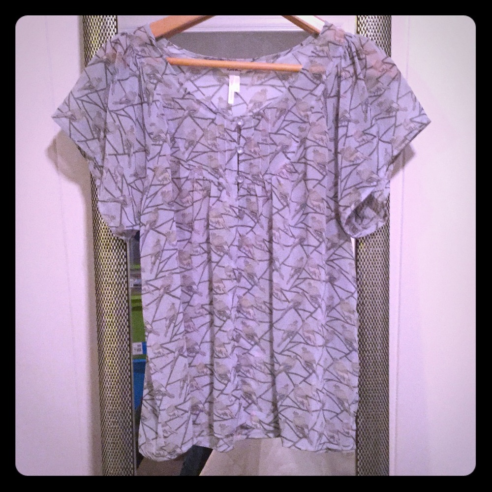 Beautiful chiffon bird blouse!