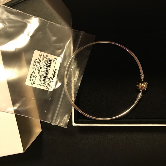 Amazon.com: PANDORA Jewelry Iconic Moments Snake Chain Charm  Authentic Pandora large bracelet