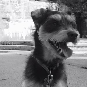 Meet your Posher, Bethany