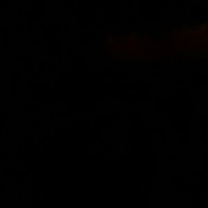 Meet your Posher, Janie