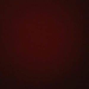 Meet your Posher, Samuel