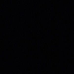 Meet your Posher, Zoey