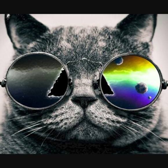 Meet your Posher, Michael - Picture 1 of 1