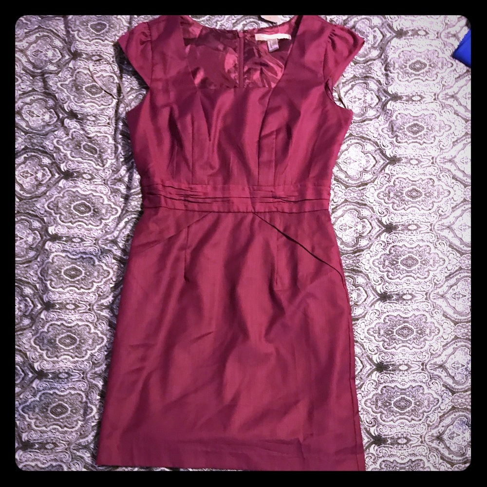 NWT fitted plum dress