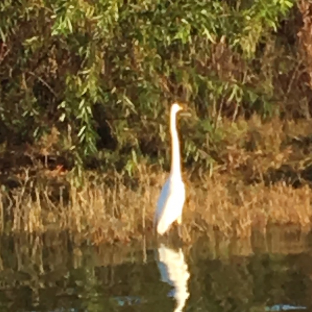 Meet your Posher, Renata