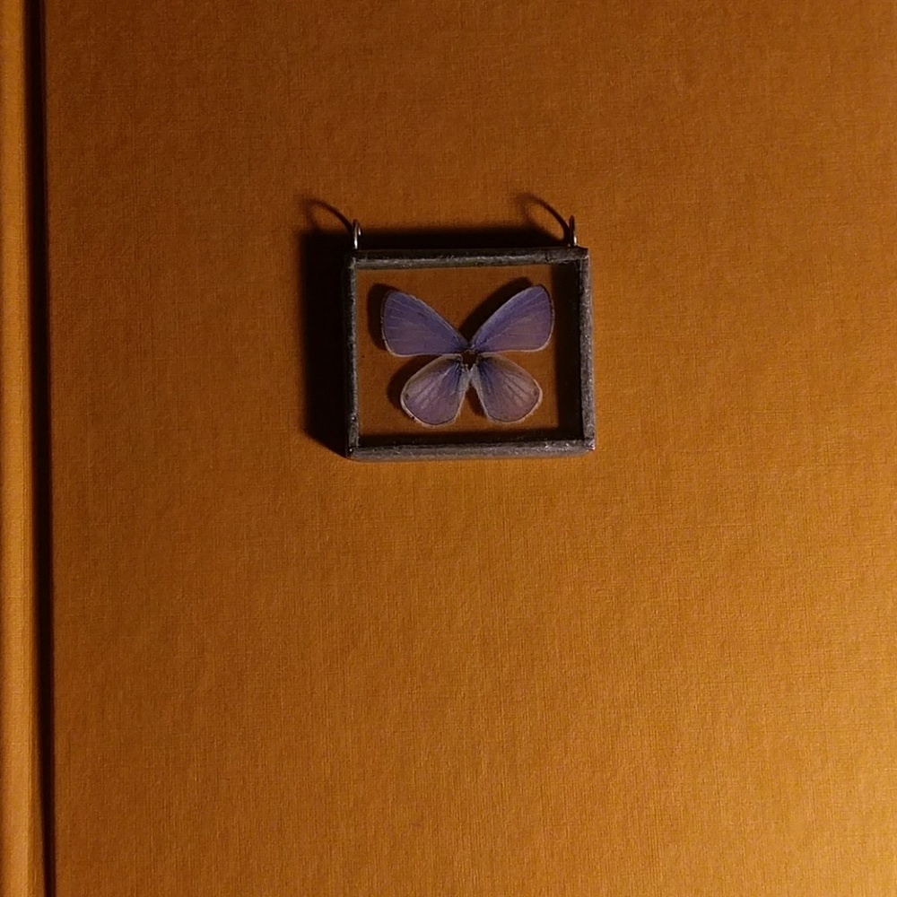 Real butterfly wings glass encased pendant