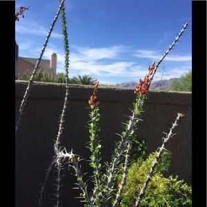 Meet your Posher, Steve