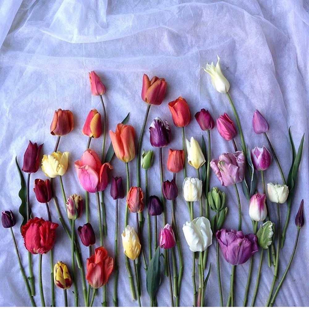 Meet your Posher, Carolyn