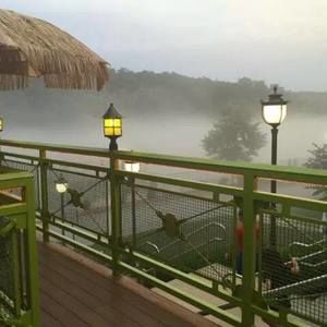 Meet your Posher, Dawn