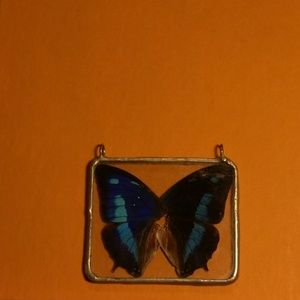 Real butterfly wings pendant