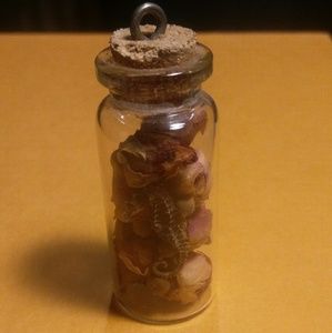 Mini dried seahorse in little glass vial pendant