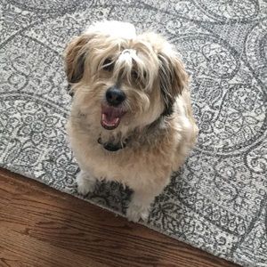 Meet your Posher, Hannah