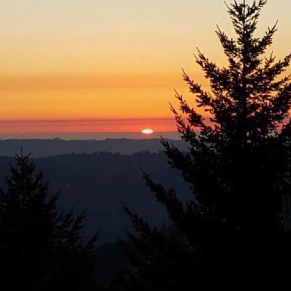 Meet your Posher, La