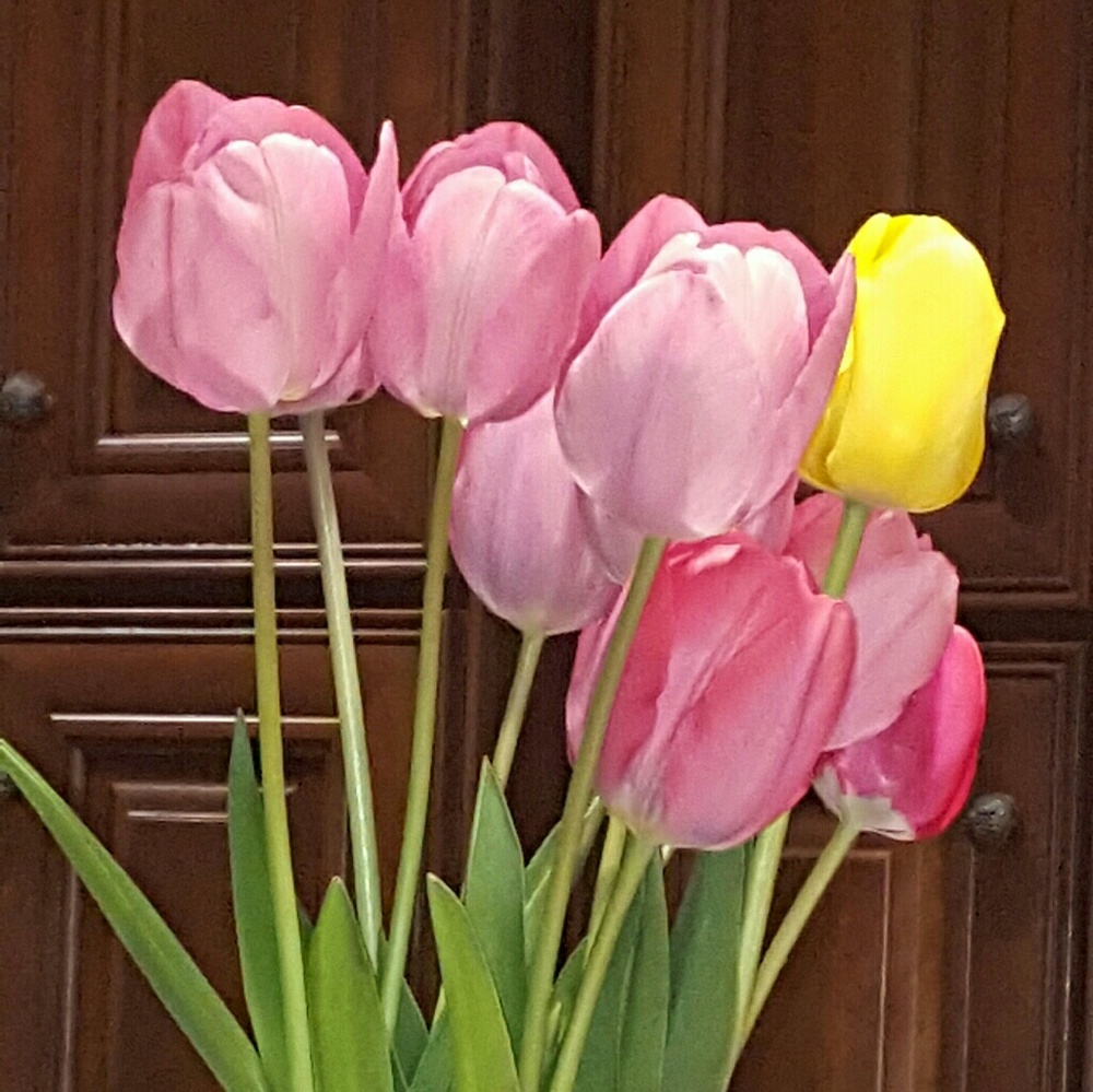 Meet your Posher, Nieves