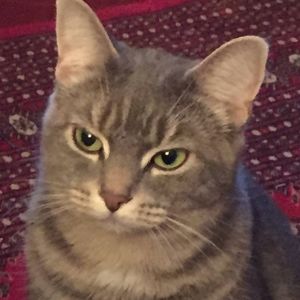 Meet your Posher, Martha