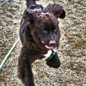 Meet your Posher, Mistee