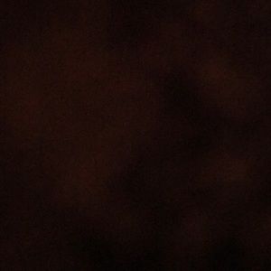 Meet your Posher, Hector