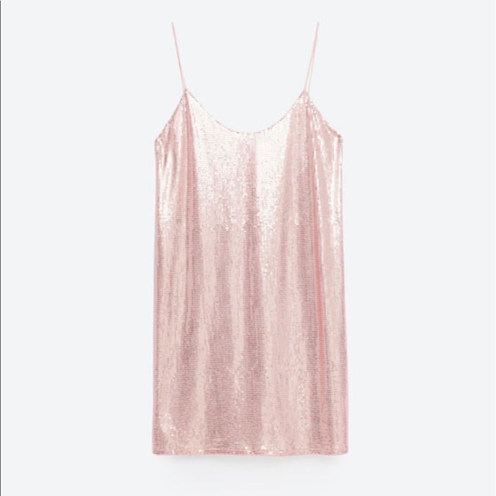 Zara Blush Sequined Dress