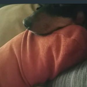 Meet your Posher, Terri