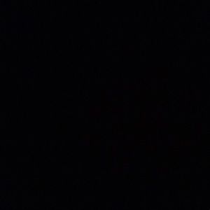 Meet your Posher, Danaisa