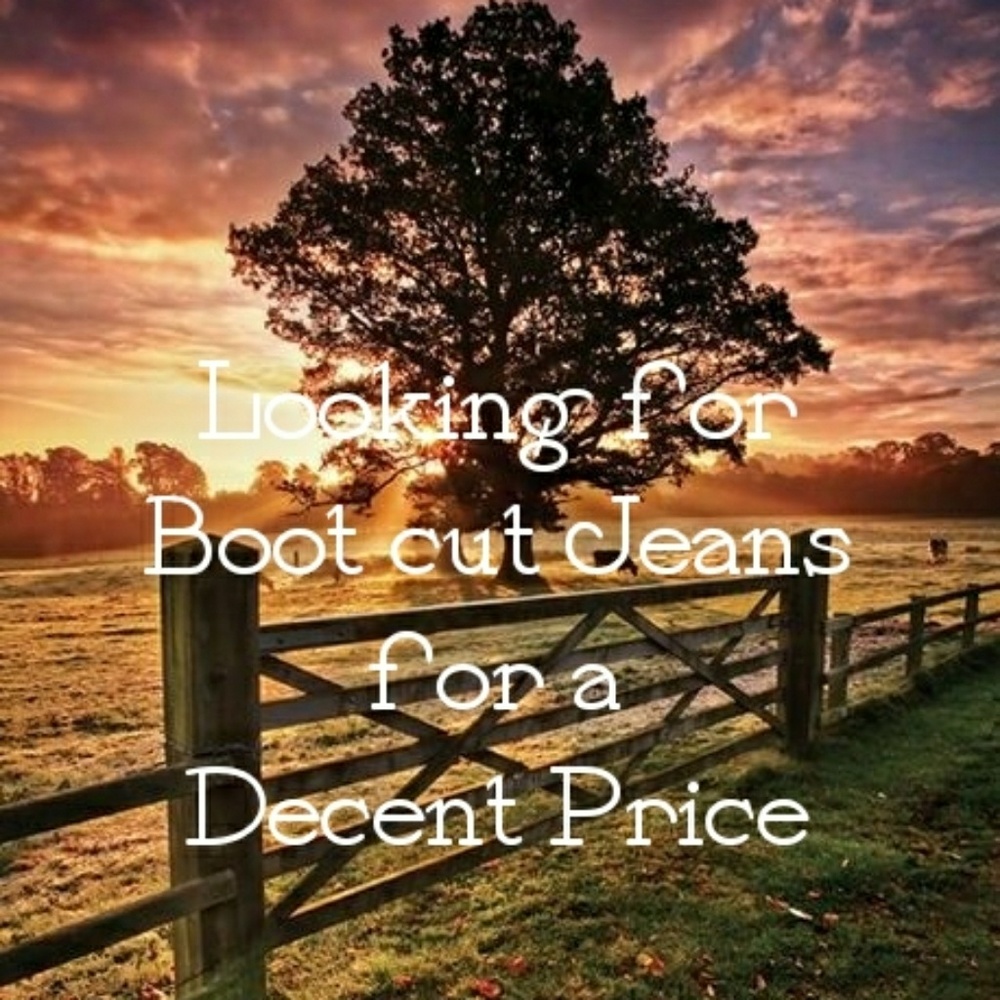 Looking for bootcut jeans