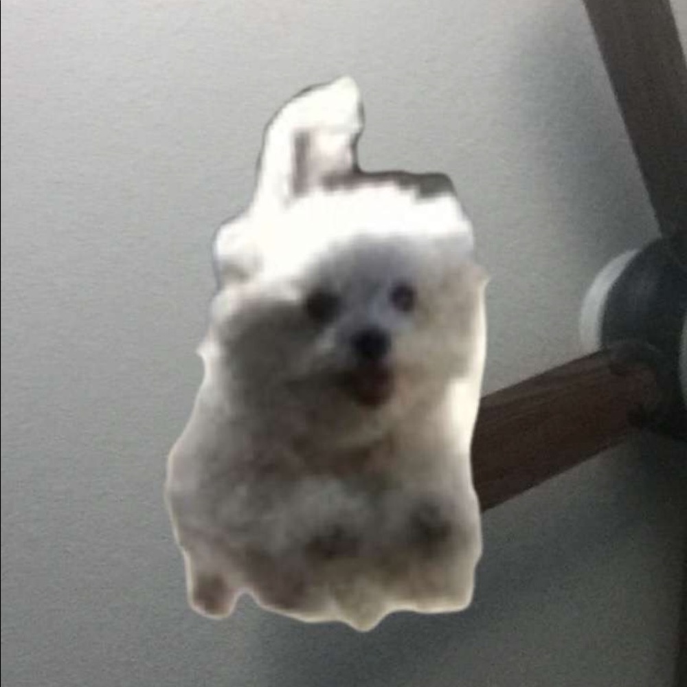 Meet your Posher, Trin