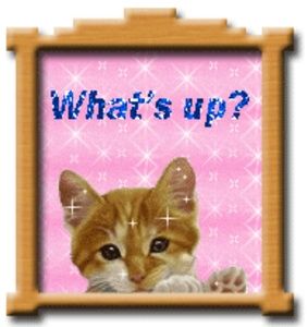 Meet your Posher, Helene