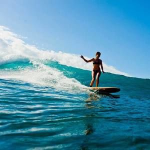 Meet your Posher, Nina