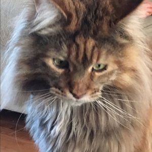 Meet your Posher, Paula