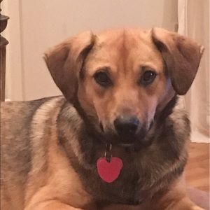 Meet your Posher, Eileen