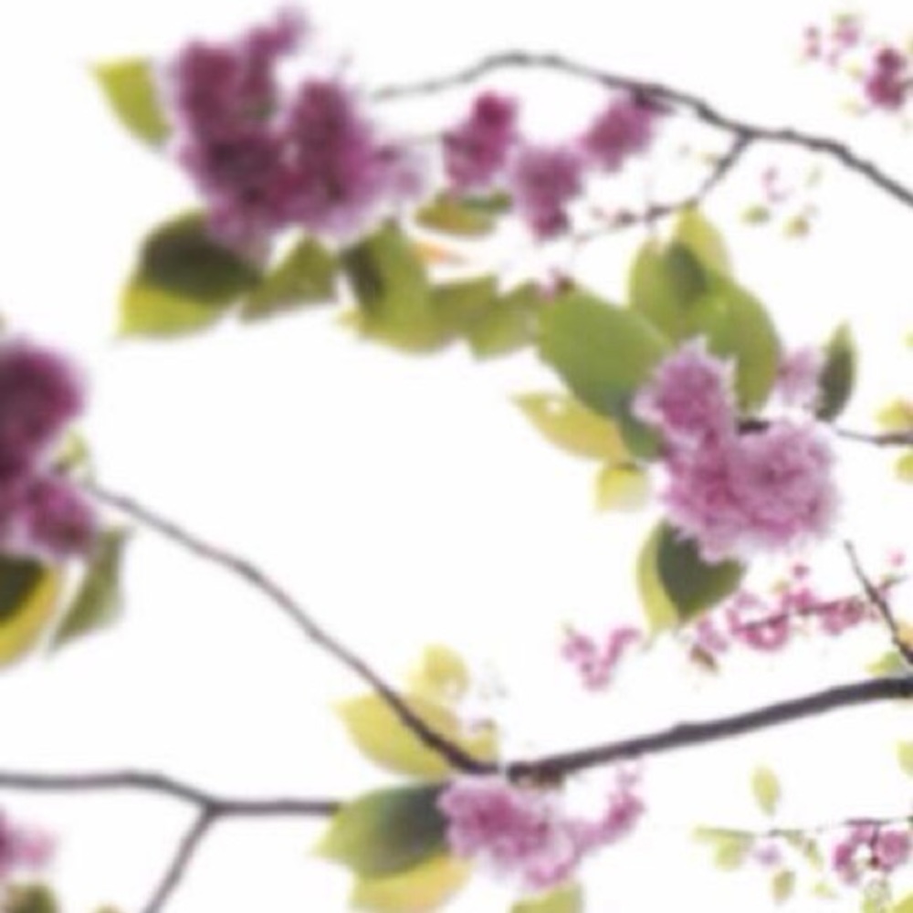 Meet your Posher, Sai