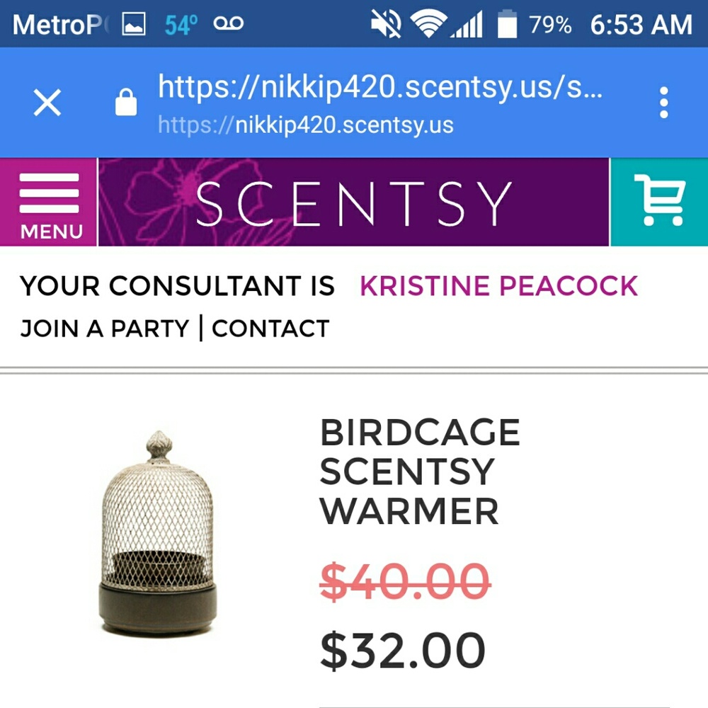 Scentsy birdcage warmer