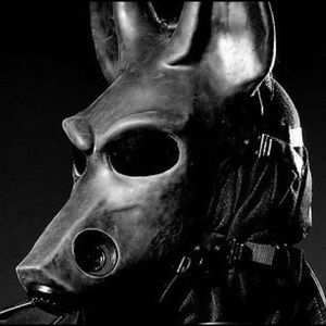 Meet your Posher, Joel