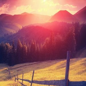 Meet your Posher, Joann