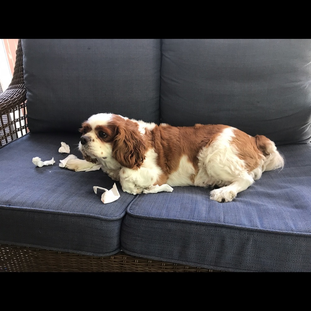 Meet your Posher, Jennifer