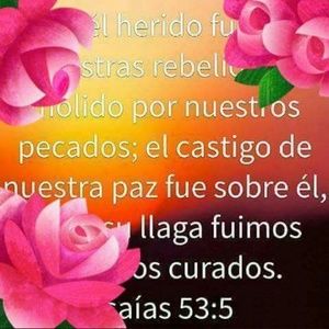 Meet your Posher, Indhira