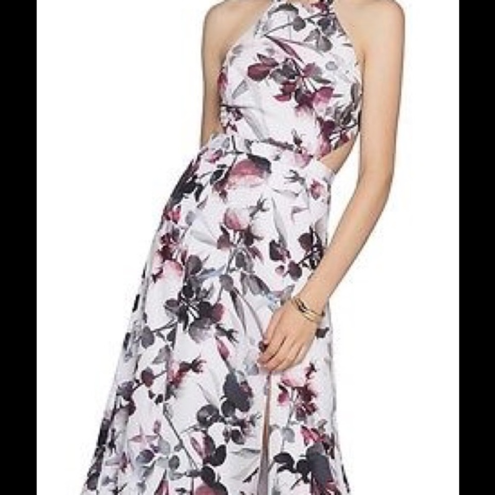 Fame and Partners Dress Palermo Floral Cutout NEW