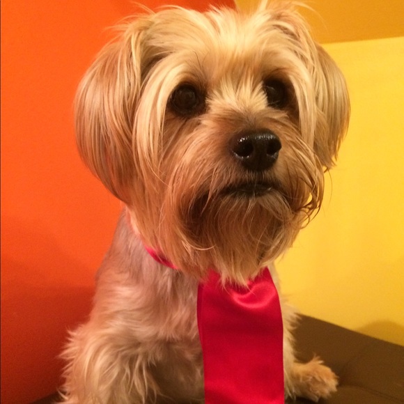 Caroline & Daisy 💕🐶 💕 - Picture 8 of 8