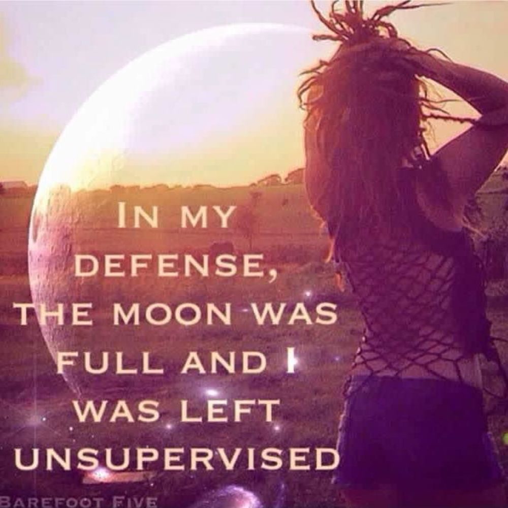 Meet your Posher, Joy