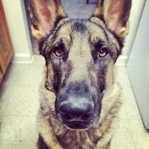 Meet your Posher, Whitney